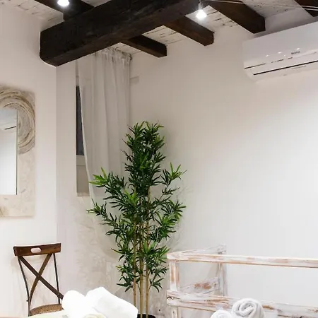 Apartment Sofia Vii Coorte