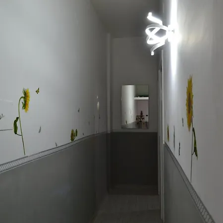 Sunflower House Rome