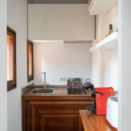 Iflat Loft&pool In Trastevere Apartment *