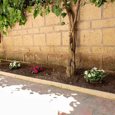 Apartament Piccolomini Vatican *