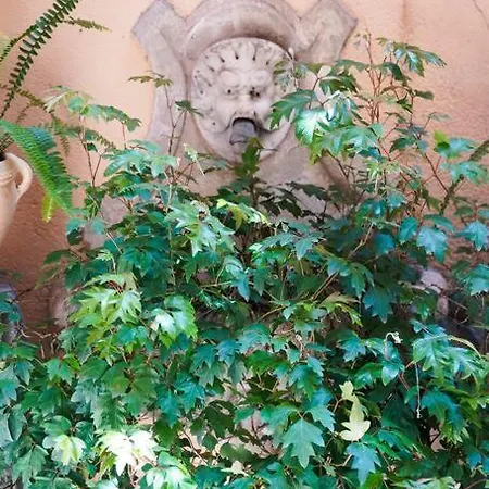 Babuino Terrace * רומא