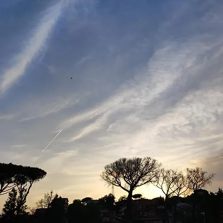 Belvedere Roma