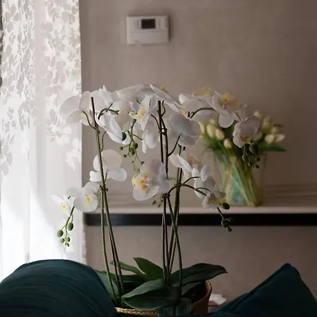 Campo De Fiori Chic Apartment