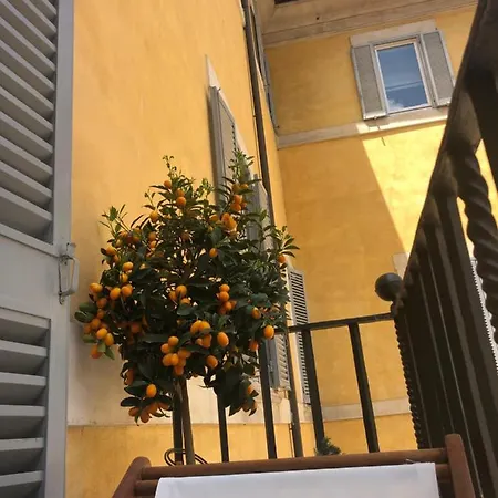 New! Bellissimo Palazzofranchi Pantheon *