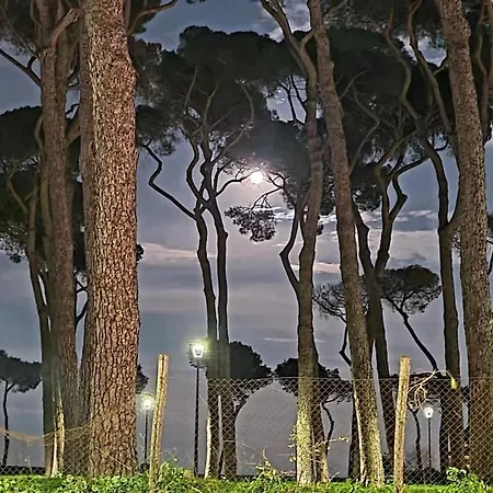 La Casa Della Pineta Holiday home