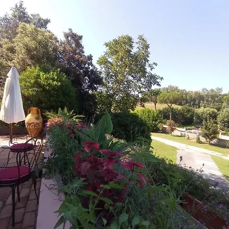 The Olive Grove Villa Rome