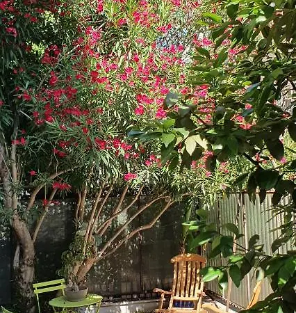 Trastevere Marlu Garden House *