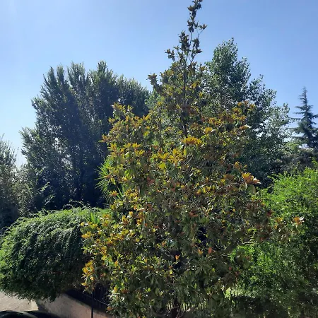 La Casa Di Livia Apartment