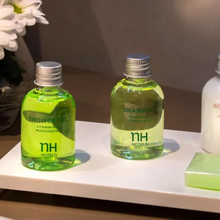 Nh 컬렉션 기우스티니아노 호텔 4*