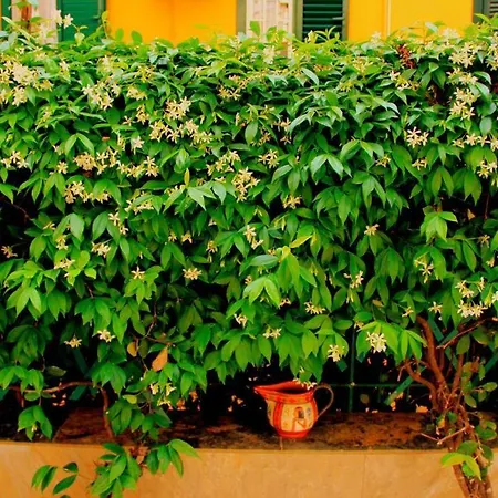 Casa E Per Vacanze Bonifazi Prázdninový dům Řím