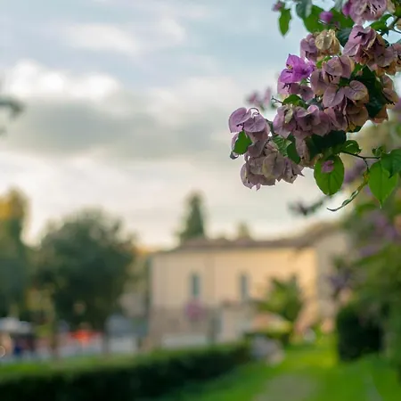 Apartment Borghese Magnolia *
