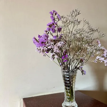 Oasi Santa Rosa *