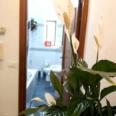 Al Colosseo Apartment Rome