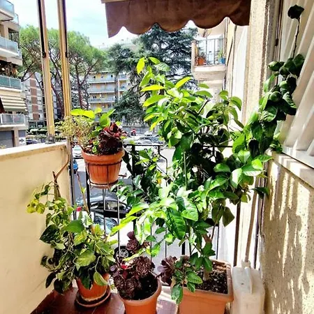Apartmán Giulia Metro Conca D'doro