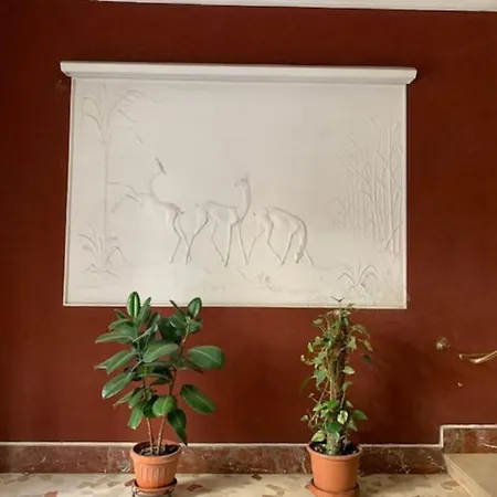 Appartement Delicious House Casa *