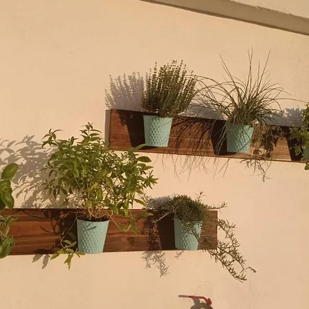 Domus Vacanze Romane Rome
