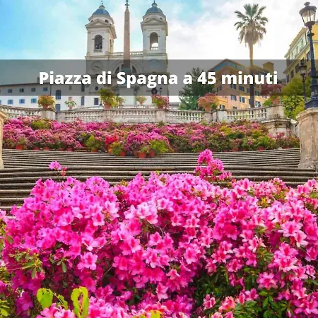 Vicino Ai Castelli Romani! Villetta Moderna Con Wifi E Parcheggio *