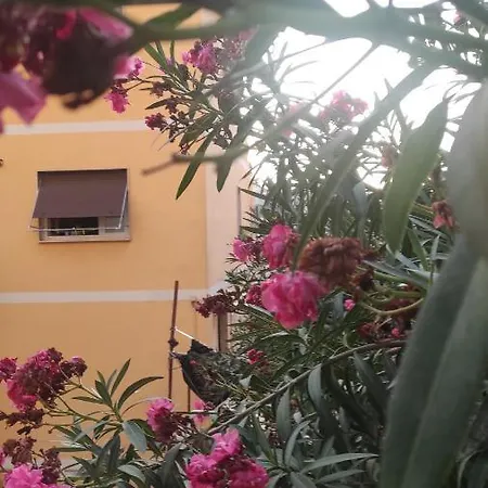 Pineta Sacchetti Rome