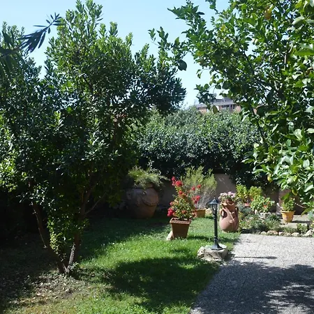 Guest house L'oasi Delle Vigne *