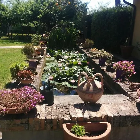 Villa L'oasi Di Baal