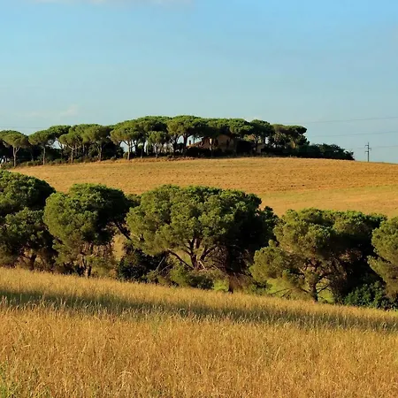 L'oasi Di Baal Villa Roma