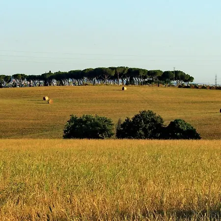 L'oasi Di Baal Villa *