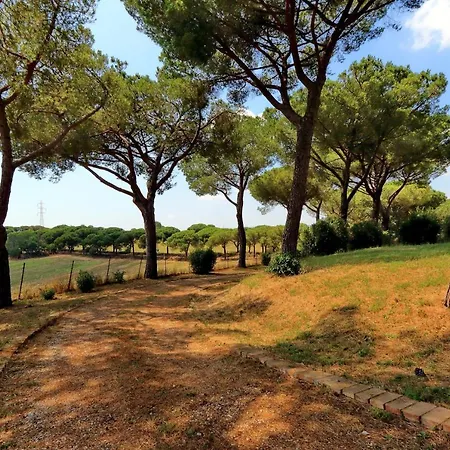L'oasi Di Baal Villa Roma