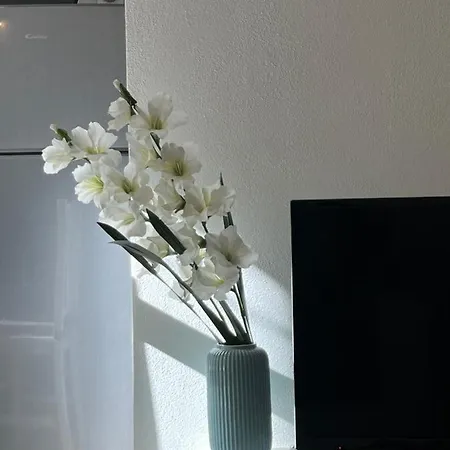 Apartamento New In - Center Roma