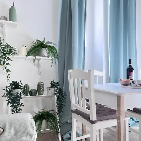 New In - Center Roma