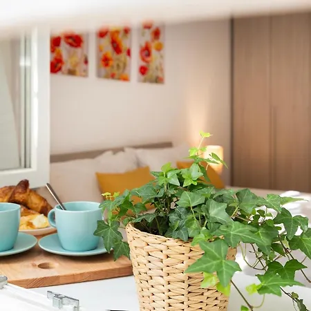 Domus Opimiani Apartment