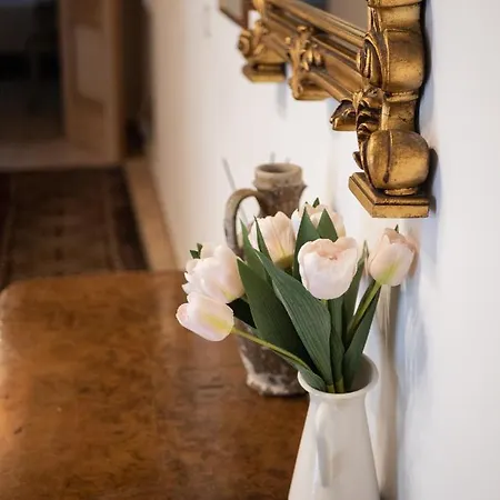 Apartment Minerva House Pantheon Rome