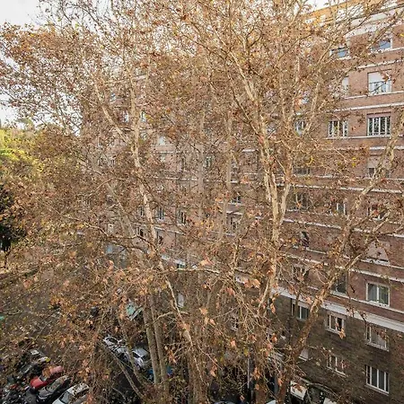 Flaminia Apartment-zeno 08