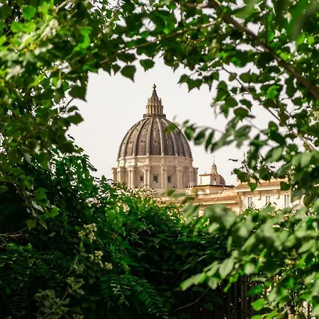 Clivo's 1 Buddyrent * Rome