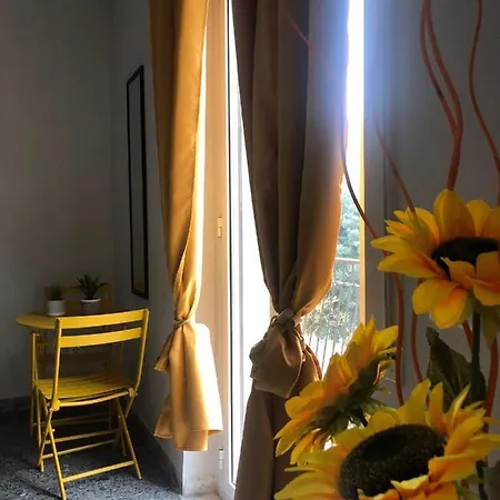 Flower Marconi Rome