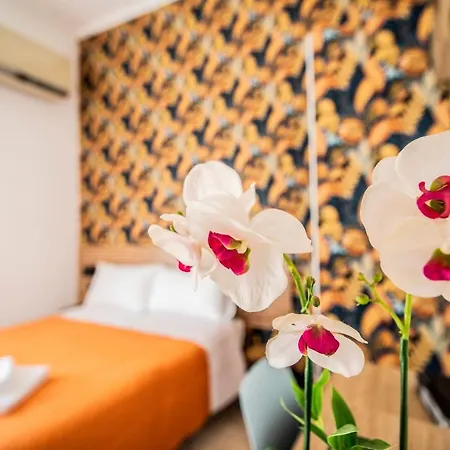 Dell'urbe Hotel 2*