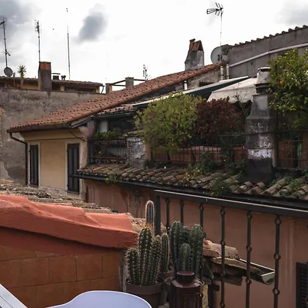 Apartment Navona Luxury Terrace Apartment - 12 Guests