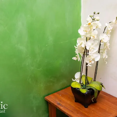 Guest house Romatic 2*