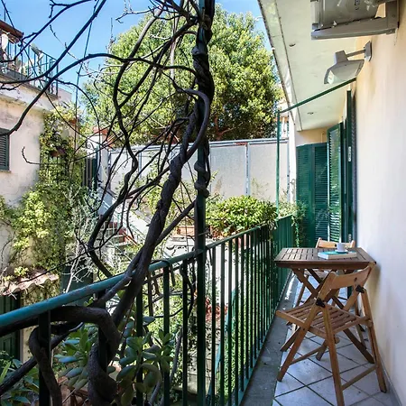Palline Balcony *