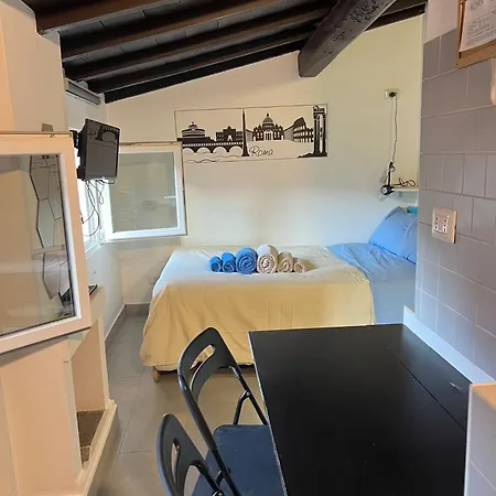 Monolocale Trastevere Locato Per Finalita Turistiche Appartamento