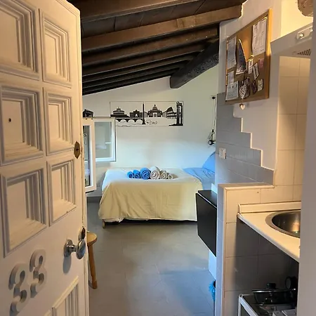 Appartamento Monolocale Trastevere Locato Per Finalita Turistiche Roma