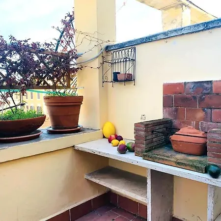 Cozy Terrace Termini