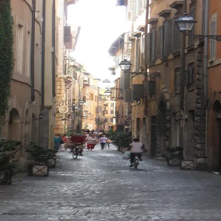 Navona Family *