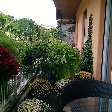Guest house Gregorio Vii Luxury