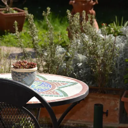 L'oasi Delle Vigne *
