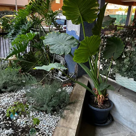 Apartamento Casetta Romana Roma