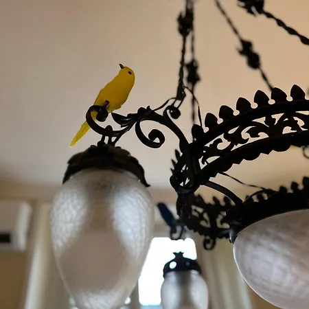 Casa Storica Anni '30: Da Fedro E Bianca Apartment