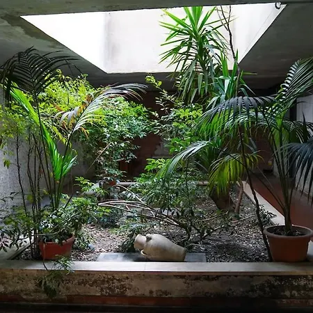 Apartment San Peter View
