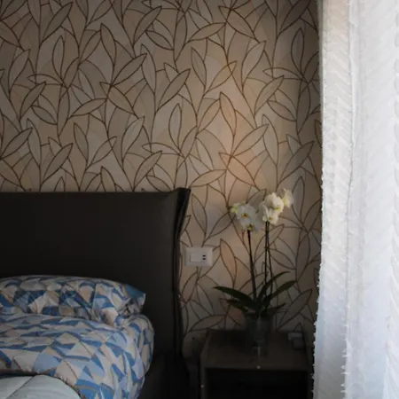 Bonelli Dreams In *