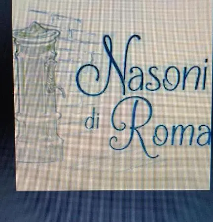 Aparthotel Nasoni Di *