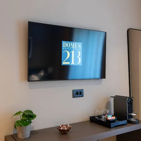 Domus 213 * Rome